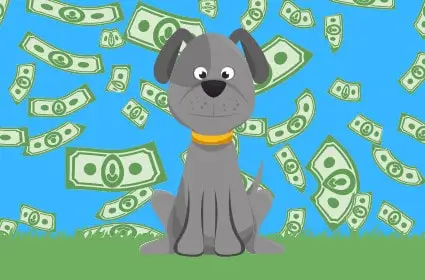 Dogs and Umbrella Insurance