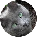 Claire Lawry’s Avatar